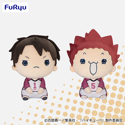 ハイキュー!!　もちぴこぬいぐるみ⑧