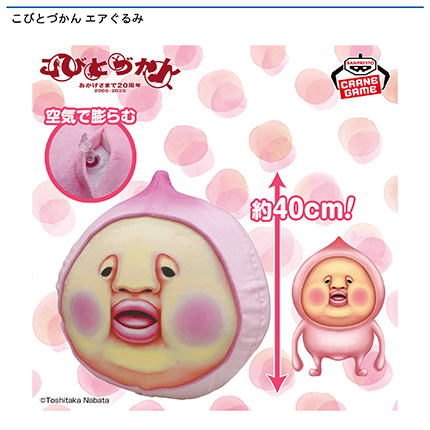 こびとづかん エアぐるみ