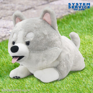 【プライズ情報】FANS ハスキーの子犬ぬいぐるみXL プレミアム