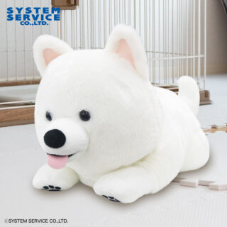 【プライズ情報】FANS サモエドの子犬ぬいぐるみXL プレミアム