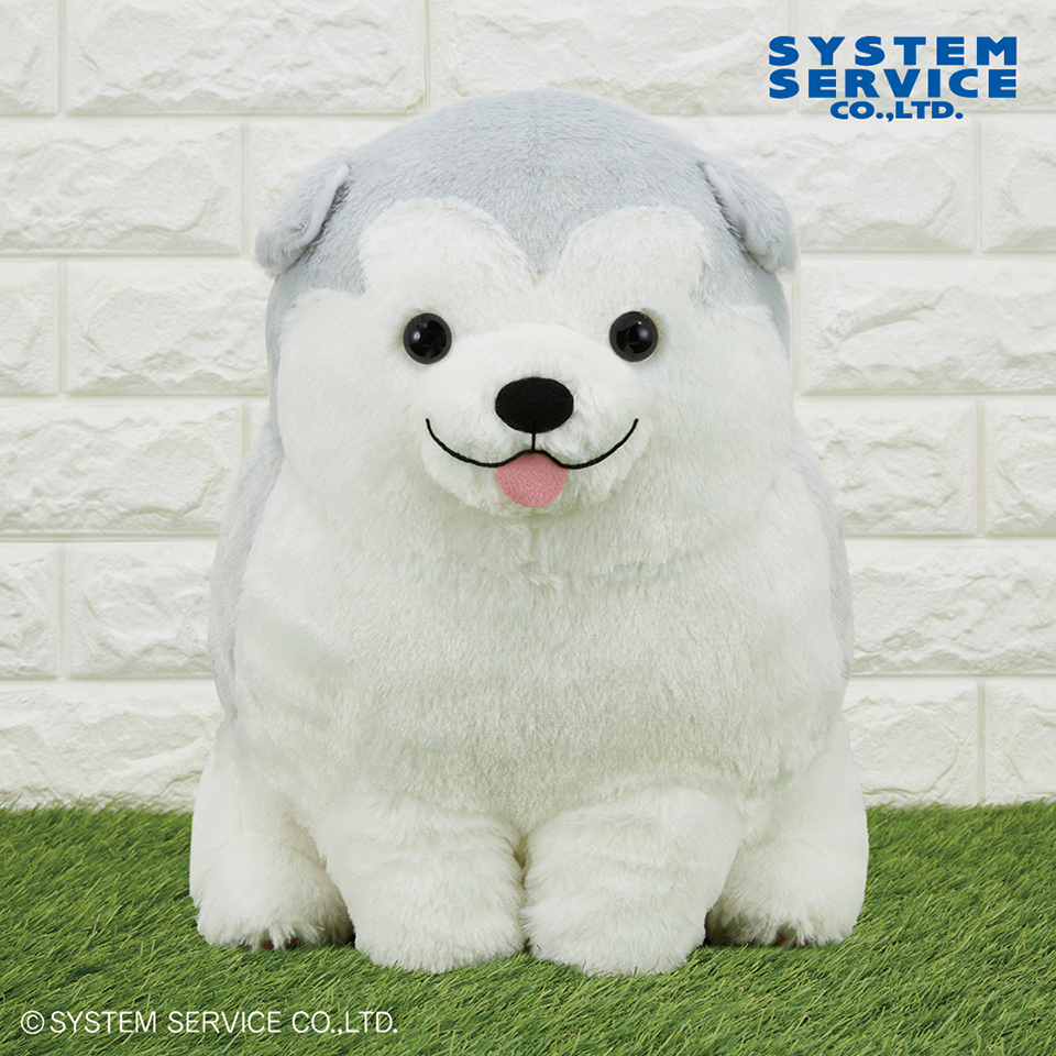 【プライズ情報】FANS アラスカンマラミュートの子犬ぬいぐるみXL プレミアム