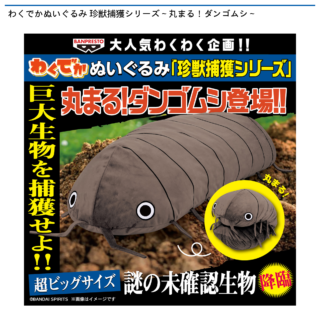 【プライズ情報】わくでかぬいぐるみ 珍獣捕獲シリーズ～丸まる！ダンゴムシ～