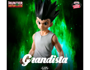 HUNTER×HUNTER Grandista-ゴン-