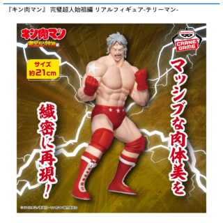 『キン肉マン』完璧超人始祖編 リアルフィギュア-テリーマン-