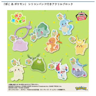 『ぽこ あ ポケモン』 シリコンバンド付きアクリルブロック